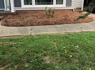 Bush Trimming by Will Currin for travis H. in Concord, NC