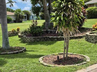 Bush Trimming by Katie Weaver for Jeffrey G. in Cape Coral, FL
