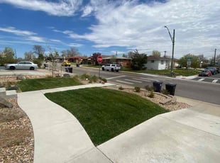 Ray A.'s Lawn Mowing service result