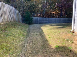 Leaf Removal by William Allen for Carolyn C. in Martinez, GA