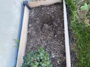 Weeding by Eliezer Paez for Bryton B. in Ogden, UT