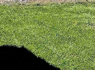 Kyle M.'s Lawn Service service result