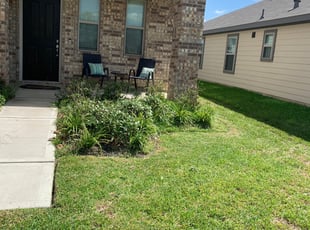 Bush Trimming by Gladis Carcamo for Jacoby W. in Harris County, TX