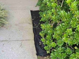 Mulching by Carlos Martinez for David T. in Davenport, FL