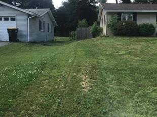 Mario C.'s Lawn Service service result