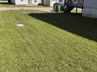 Heather S.'s Lawn Mowing service result