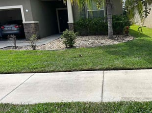 Cleanups by William Chavers for Elise S. in Ruskin, FL