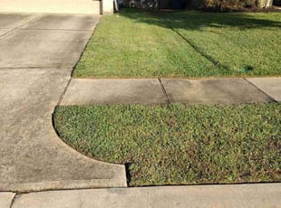 Richard S.'s Lawn Care service result