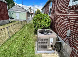 Bush Trimming by Michael Snock for Angelo G. in Glenolden, PA