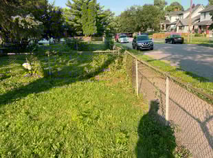 Weeding by Richard Taylor for Juanita R. in Dayton, OH