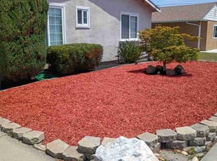 Landscaping by Mario Almanza for Nathan P. in San Leandro, CA