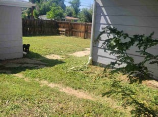Cleanups by Kevin Johnson for Penni S. in Aurora, CO