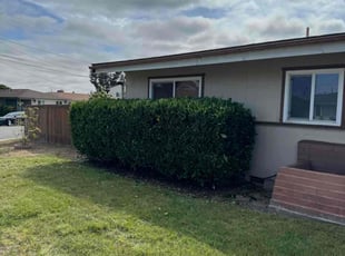 Bush Trimming by Sergio Castaneda for Ian T. in San Diego, CA
