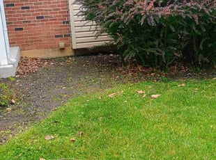 Weeding by Martin Ortiz Cortez for Jackie M. in Exton, PA