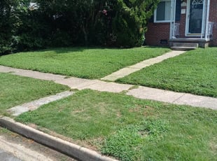 Cleanups by Terrill Williams for McKenna S. in Norfolk, VA