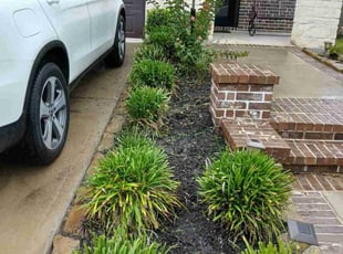 Weeding by Efrain Perez for Mayra A. in Cypress, TX
