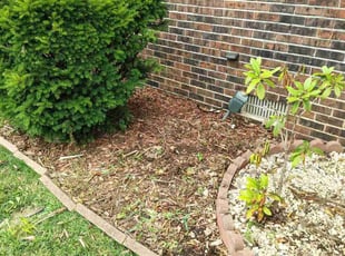 Weeding by Kevin Hayes for Dana M. in Belleville, IL