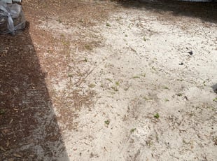 Leaf Removal by Michael Murphy for Rebecca D. in Apopka, FL