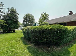 Bush Trimming by Fidel Rodriguez for Michelle G. in Springfield, VA