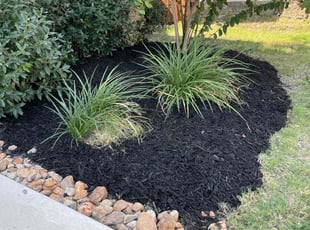 Mulching by Juan Vazquez for Andrix A. in San Antonio, TX
