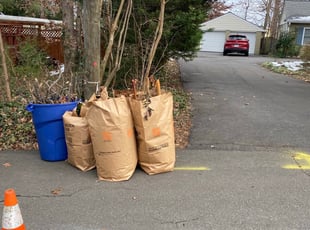 Bush Trimming by Angel P. for Derek K. in Alexandria, VA