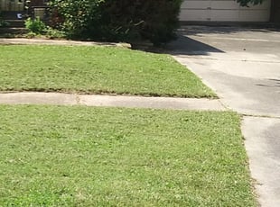 Cleanups by Chris Slone for Michael A. in Louisville, KY