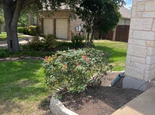 Bush Trimming by Noah Fiechtner for Linda S. in Austin, TX
