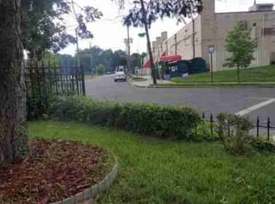 Landscaping by Chris Stewart for Trevor S. in Washington, DC