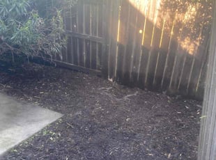 Cleanups by Michael Leftridge for RyAnn P. in Vallejo, CA