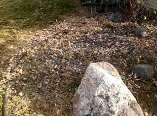 Weeding by Jeremy Osell for McKayla K. in Minneapolis, MN