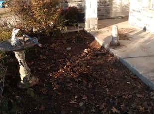 Cleanups by William McGuire for Cole W. in Fort Worth, TX