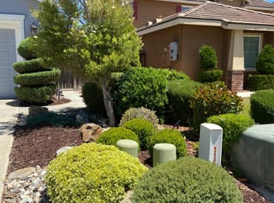 Bush Trimming by Lemar Duff for Julie B. in Menifee, CA