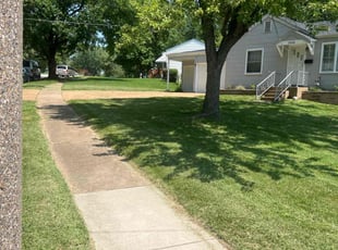 Amber M.'s Grass Cutting service result