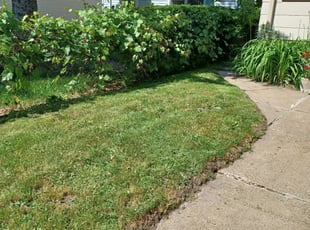 Cleanups by David Gallaway for Tianna J. in Saint Paul, MN