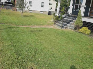 Marrien B.'s Lawn Care service result