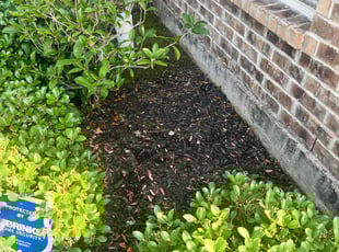 Weeding by Nancy Rodriguez for Whitney T. in Alvin, TX