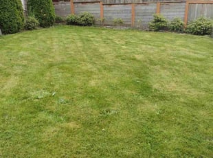 Marcella E.'s Lawn Service service result