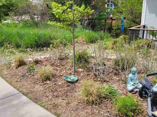 Weeding by Jason Bickler for Manoj N. in Lafayette, CO