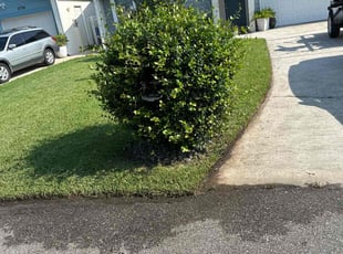 Julia S.'s Lawn Service service result