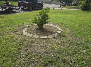 Weeding by Valecia Thompson for Clem C. in Fayetteville, NC