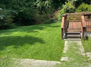 Cotina W.'s Grass Cutting service result