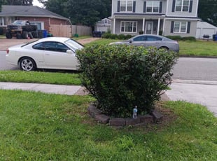 Weeding by Larry Gordon for Mark C. in Norfolk, VA