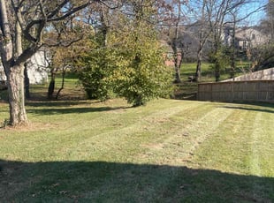 Leaf Removal by Jose Colon for Loyal W. in Simpsonville, KY