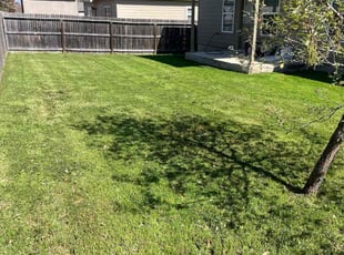Brandon T.'s Lawn Care service result