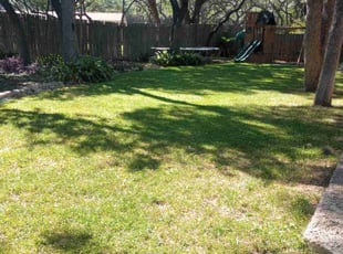 Vanessa S.'s Lawn Care service result