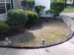Bush Trimming by Ronald Butler for Robert H. in Charleston, SC