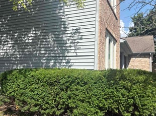 Bush Trimming by Travis Harmon for Richard S. in Indianapolis, IN