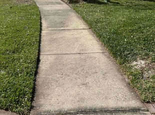 Genee S.'s Yard Cutting service result