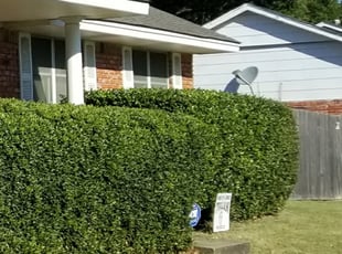 Bush Trimming by Andrew Bussey for Scott Y. in Tulsa, OK