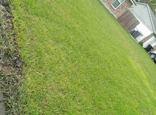 JOHN M.'s Lawn Mowing Service service result